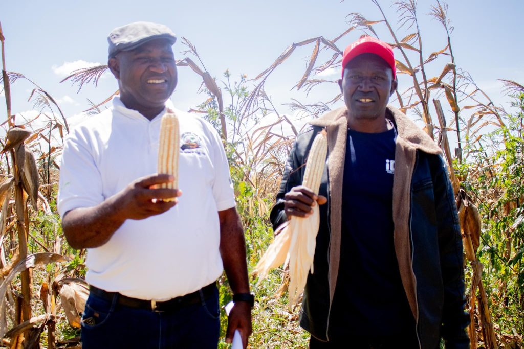 Research Assistant with Farmer